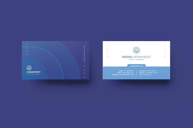 Blue Simple Business Card Design